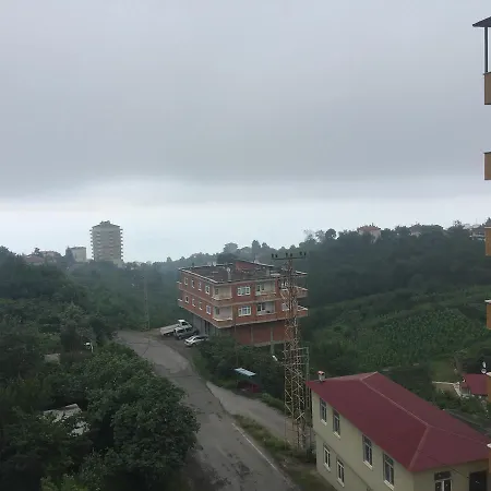 Nature & Apartamento